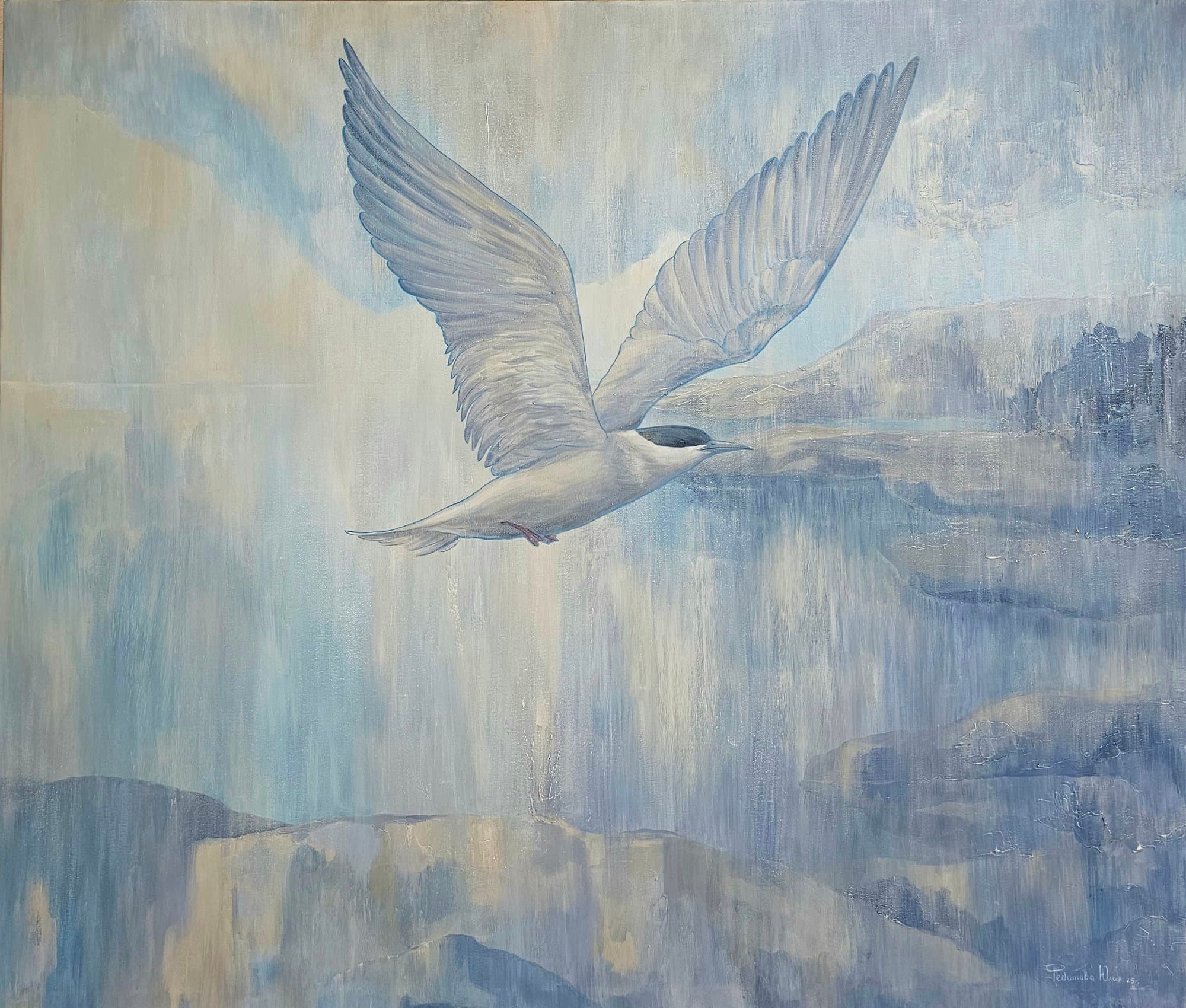 Flight over Ladoga — a white bird above the water